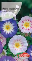 POWJ TRJBARWNY MIX 3G TORSEED NASIONA KWIATW
